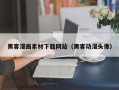阜阳黑客漫画素材下载网站（黑客动漫头像）