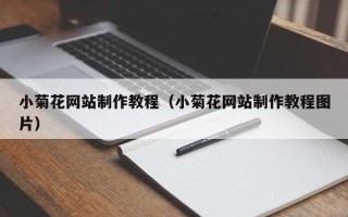 阜阳小菊花网站制作教程（小菊花网站制作教程图片）