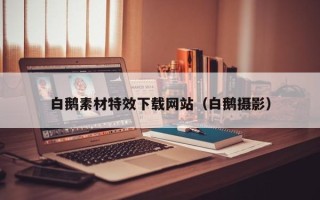 阜阳白鹅素材特效下载网站（白鹅摄影）
