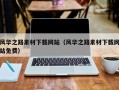 阜阳风华之路素材下载网站（风华之路素材下载网站免费）